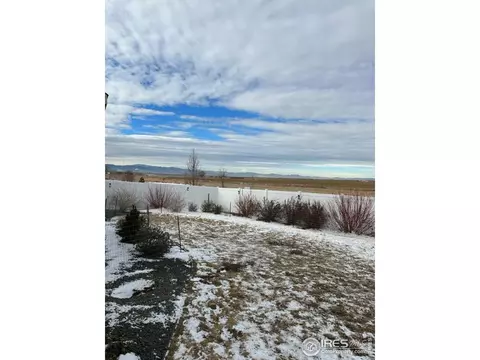 1722 Vale Dr, Windsor, CO 80550 photo 29