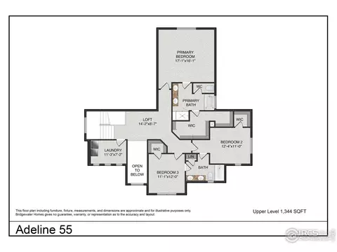 941 Hummocky Way, Windsor, CO 80550 photo 3