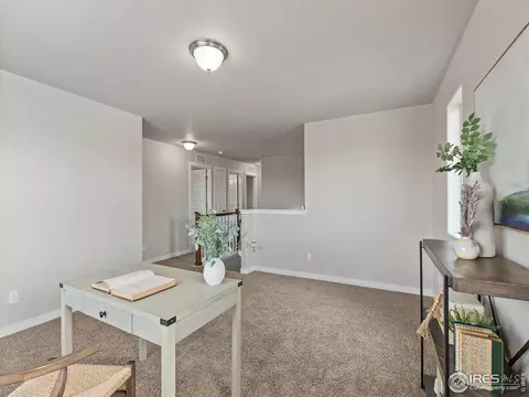1787 Valley Brook Ln, Severance, CO 80550 photo 20