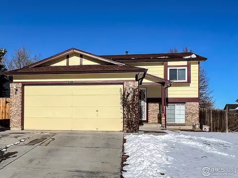 12117 Newport Dr, Brighton, CO 80602