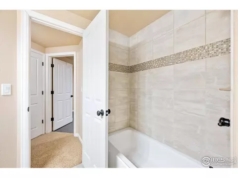 209 Oak St, Windsor, CO 80550 photo 32