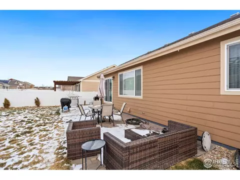 1015 Muntjac St, Severance, CO 80550 photo 20
