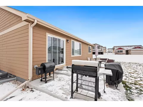 1015 Muntjac St, Severance, CO 80550 photo 19