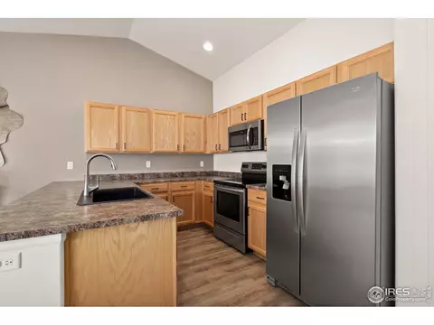 1015 Muntjac St, Severance, CO 80550 photo 8
