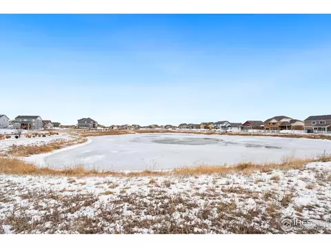 1015 Muntjac St, Severance, CO 80550 photo 23