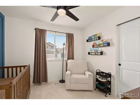 1015 Muntjac St, Severance, CO 80550 photo 14
