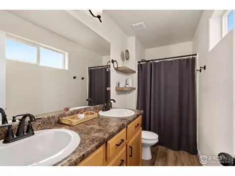 1015 Muntjac St, Severance, CO 80550 photo 16