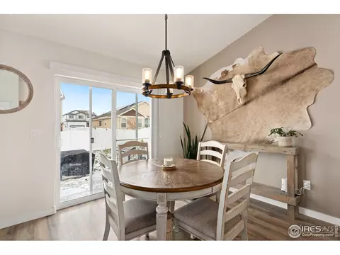 1015 Muntjac St, Severance, CO 80550 photo 10