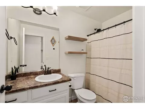 1015 Muntjac St, Severance, CO 80550 photo 17