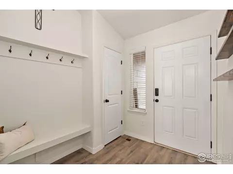 1015 Muntjac St, Severance, CO 80550 photo 3