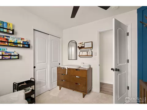 1015 Muntjac St, Severance, CO 80550 photo 15
