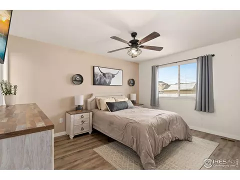 1015 Muntjac St, Severance, CO 80550 photo 11