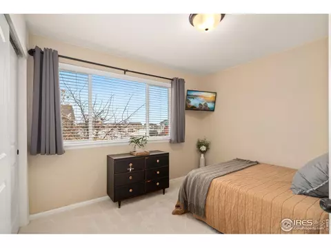 1015 Muntjac St, Severance, CO 80550 photo 13