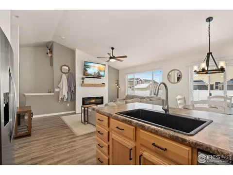 1015 Muntjac St, Severance, CO 80550 photo 9