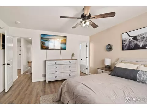 1015 Muntjac St, Severance, CO 80550 photo 12