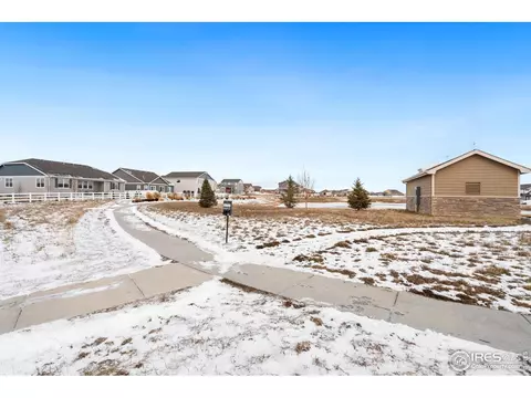 1015 Muntjac St, Severance, CO 80550 photo 22