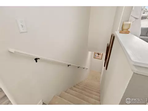 1015 Muntjac St, Severance, CO 80550 photo 18