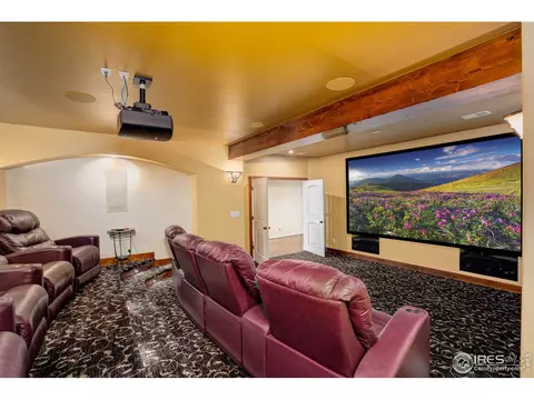 1257 Eagle Ct, Windsor, CO 80550 photo 32