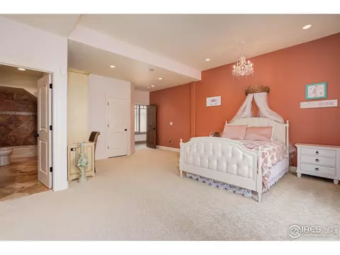 1257 Eagle Ct, Windsor, CO 80550 photo 28