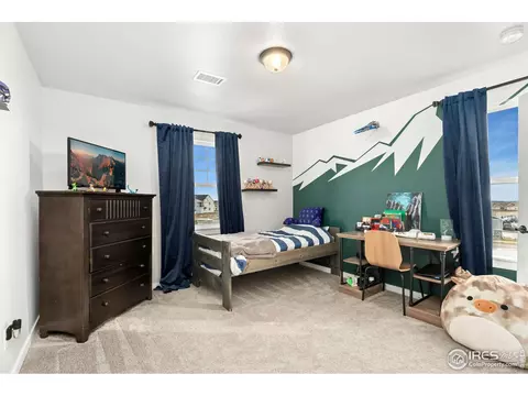 2092 Falling Leaf Dr, Windsor, CO 80550 photo 22