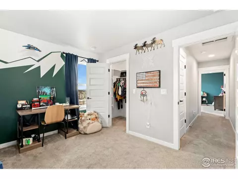 2092 Falling Leaf Dr, Windsor, CO 80550 photo 23