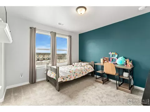 2092 Falling Leaf Dr, Windsor, CO 80550 photo 25