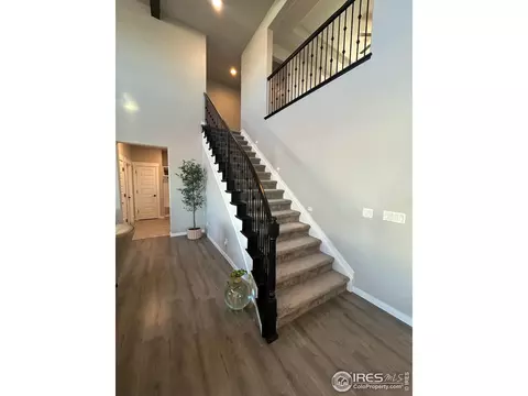 2092 Falling Leaf Dr, Windsor, CO 80550 photo 13