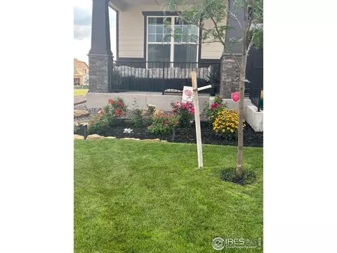 2092 Falling Leaf Dr, Windsor, CO 80550 photo 37