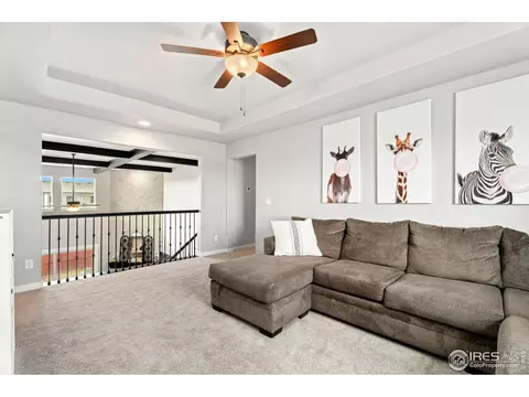 2092 Falling Leaf Dr, Windsor, CO 80550 photo 20