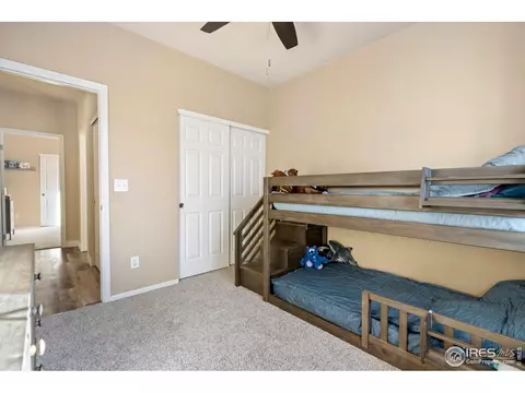 5636 Calgary St, Timnath, CO 80547 photo 21