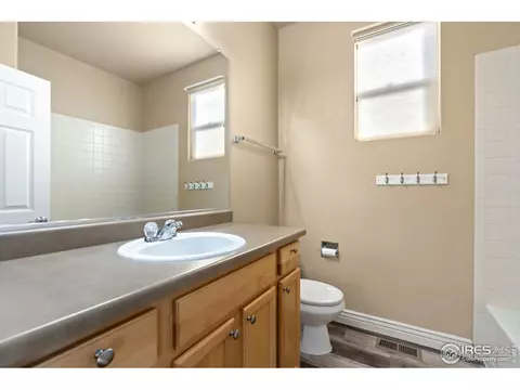 5636 Calgary St, Timnath, CO 80547 photo 19