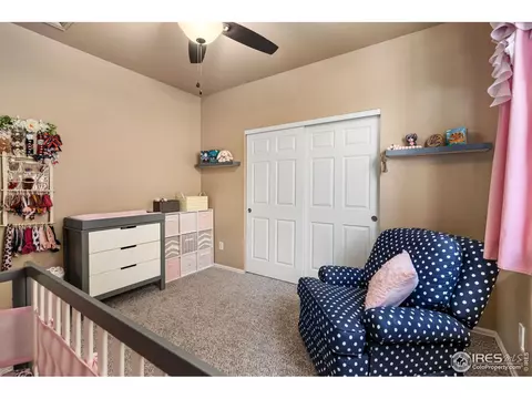 5636 Calgary St, Timnath, CO 80547 photo 18