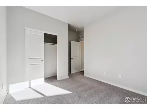 4439 Trader St, Timnath, CO 80547 photo 8