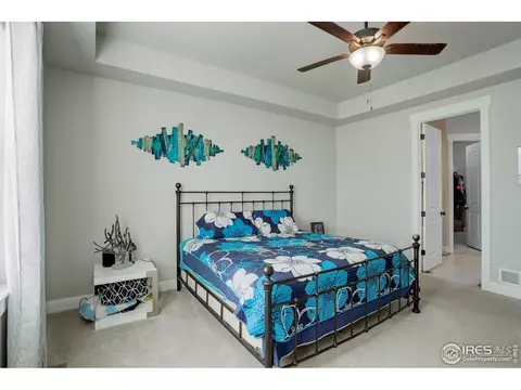 8432 Annapolis Dr # 3, Windsor, CO 80528 photo 20
