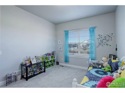 8432 Annapolis Dr # 3, Windsor, CO 80528 photo 24