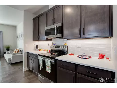 8432 Annapolis Dr # 3, Windsor, CO 80528 photo 10