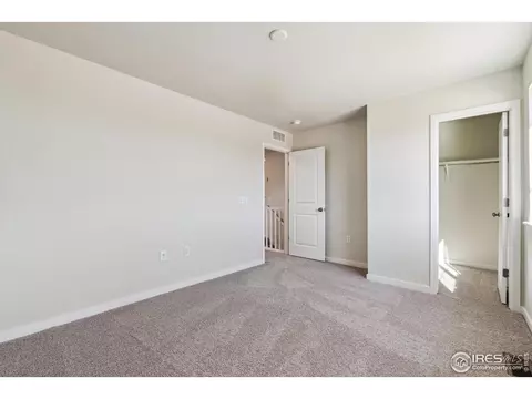 4431 Trader St, Timnath, CO 80547 photo 21