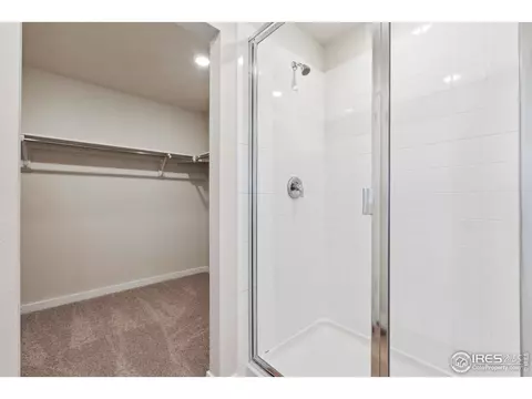 4431 Trader St, Timnath, CO 80547 photo 13
