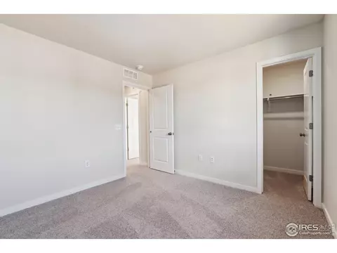 4431 Trader St, Timnath, CO 80547 photo 19