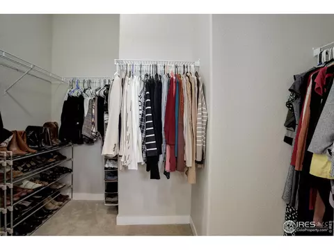 678 Sundance Dr, Windsor, CO 80550 photo 21