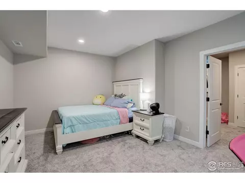 678 Sundance Dr, Windsor, CO 80550 photo 29