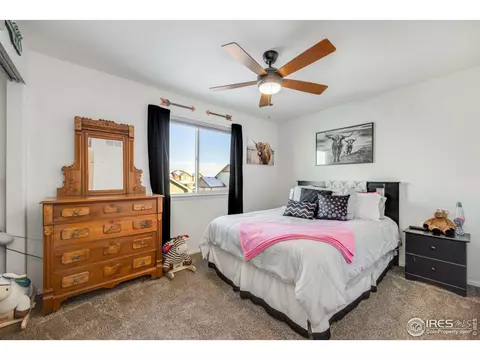 344 Mt Bross Ave, Severance, CO 80550 photo 30