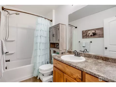 344 Mt Bross Ave, Severance, CO 80550 photo 29