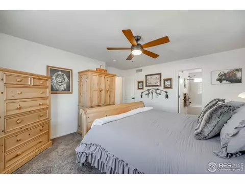 344 Mt Bross Ave, Severance, CO 80550 photo 24