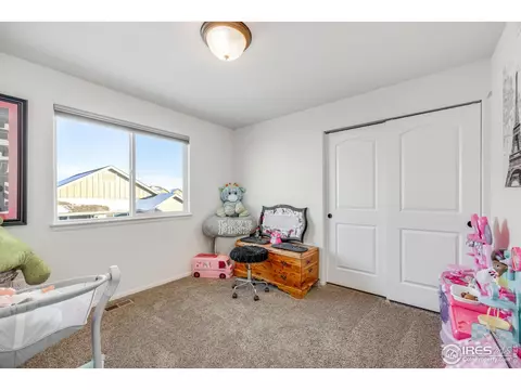 344 Mt Bross Ave, Severance, CO 80550 photo 28