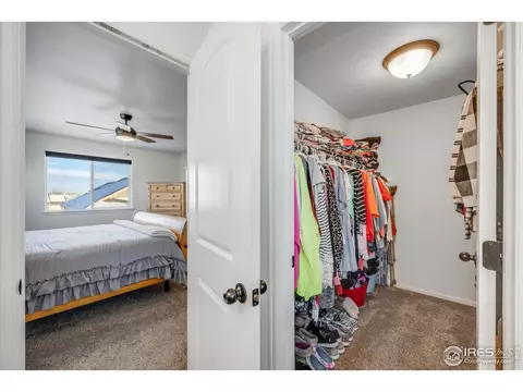 344 Mt Bross Ave, Severance, CO 80550 photo 25