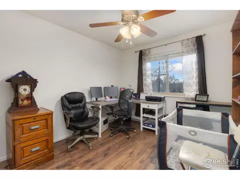 1000 Hemlock Dr, Windsor, CO 80550 photo 23