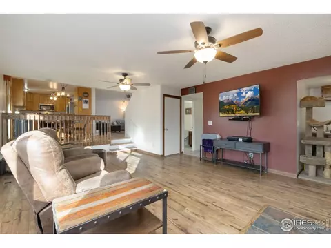 1000 Hemlock Dr, Windsor, CO 80550 photo 13