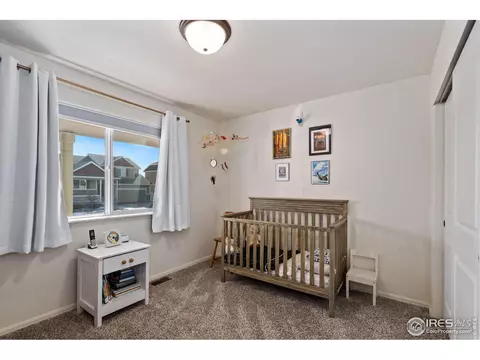 952 Greenbrook Dr, Windsor, CO 80550 photo 20