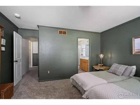 952 Greenbrook Dr, Windsor, CO 80550 photo 15